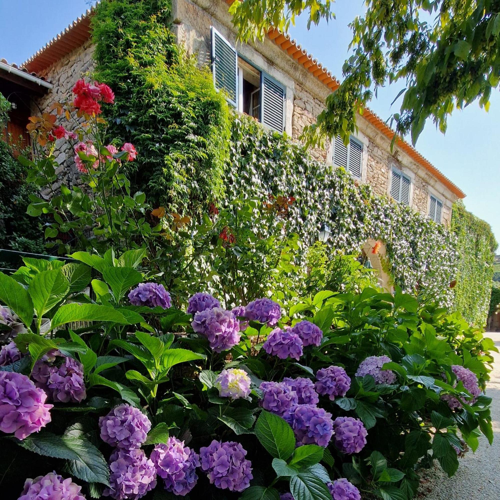 Casa De Sao Miguel Douro Casa de hóspedes